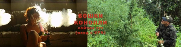 ПСИЛОЦИБИНОВЫЕ ГРИБЫ Арсеньев