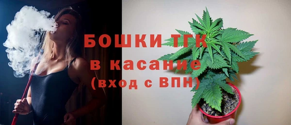 молекула духа Алексеевка