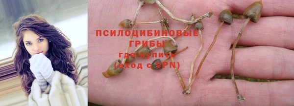 а пвп мука Аркадак