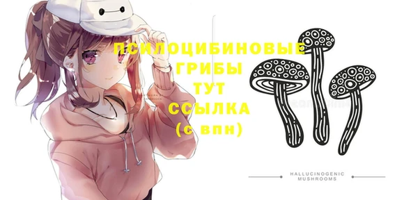 твердый Алзамай