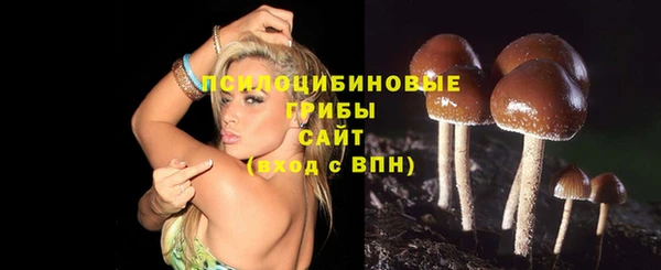 твердый Алзамай
