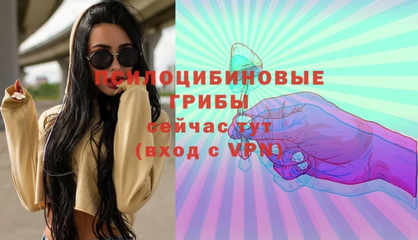 твердый Алзамай