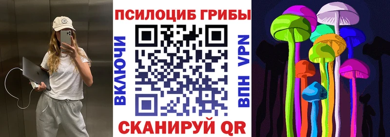 Псилоцибиновые грибы MAGIC MUSHROOMS  наркотики  Кола 